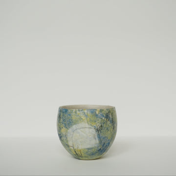 N09004